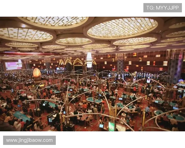 探秘金都国际赌场：奢华体验与刺激游戏的完美结合